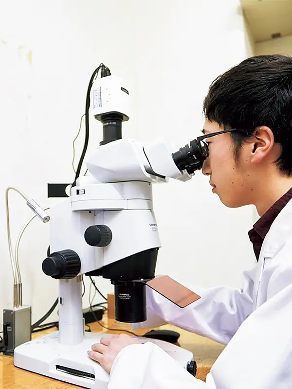 学びのポイント