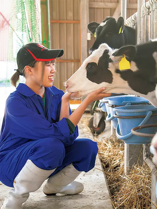 学びのポイント