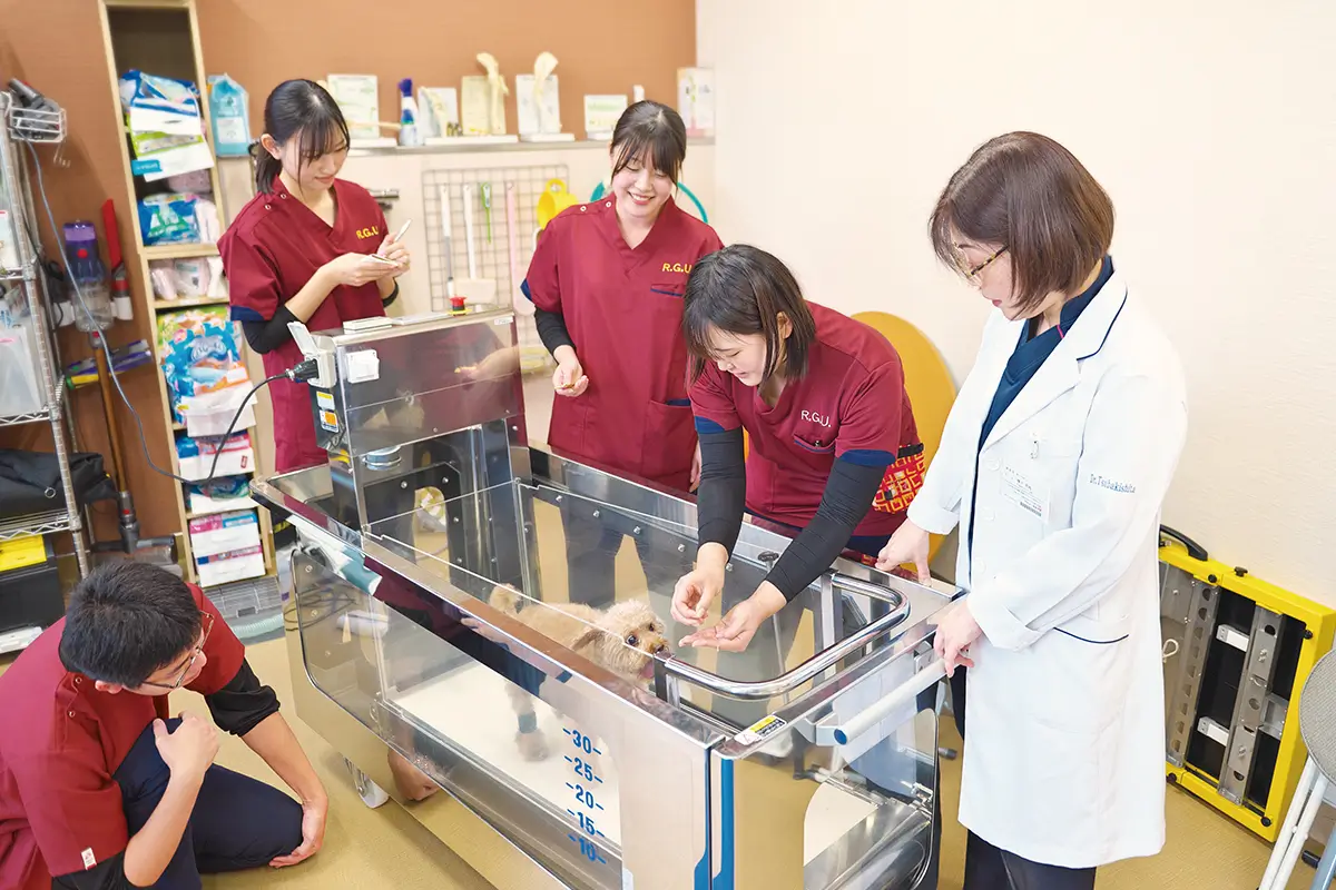 獣医保健看護学類