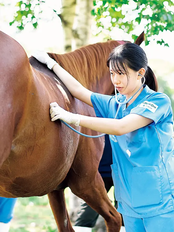 学びのポイント