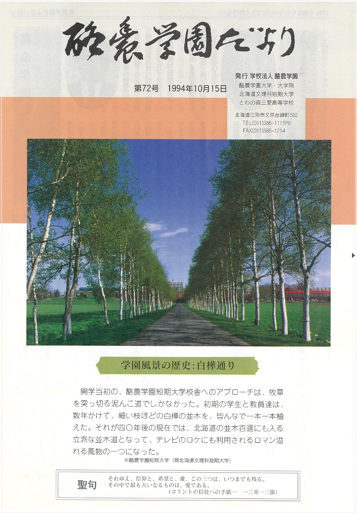 B5サイズ 表紙カラー化