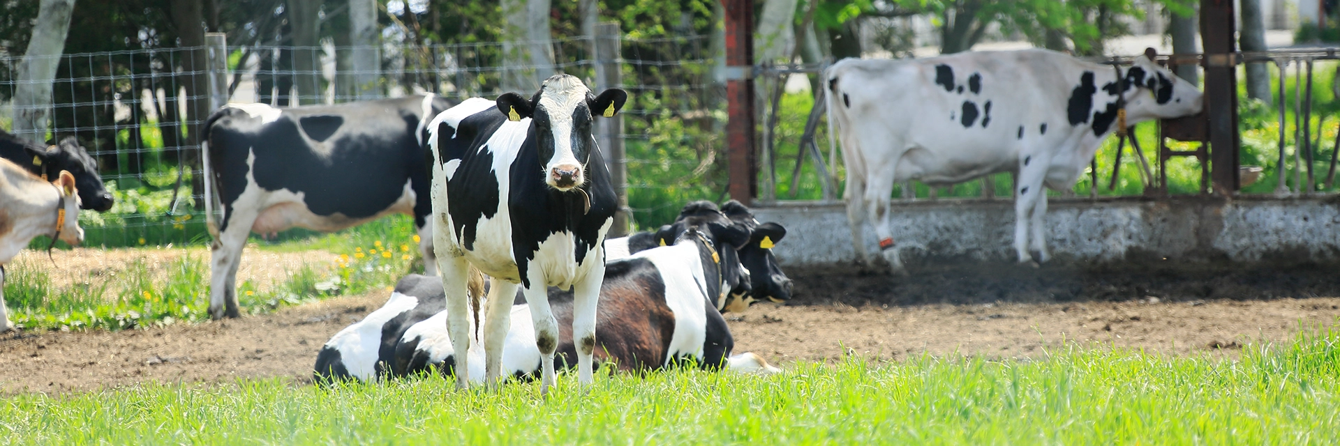 サイトポリシー