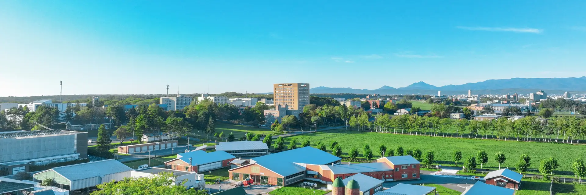 ピックアップ一覧