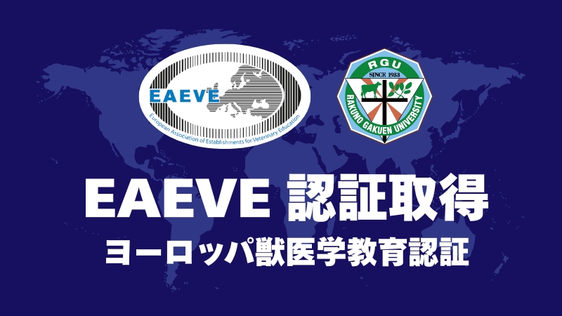 EAEVE国際認証取得！