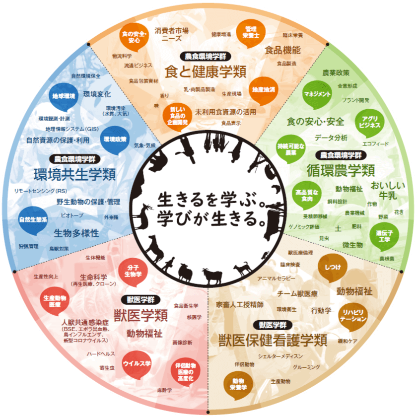 酪農学園大学の学び 酪農学園大学 農食環境学群 獣医学群