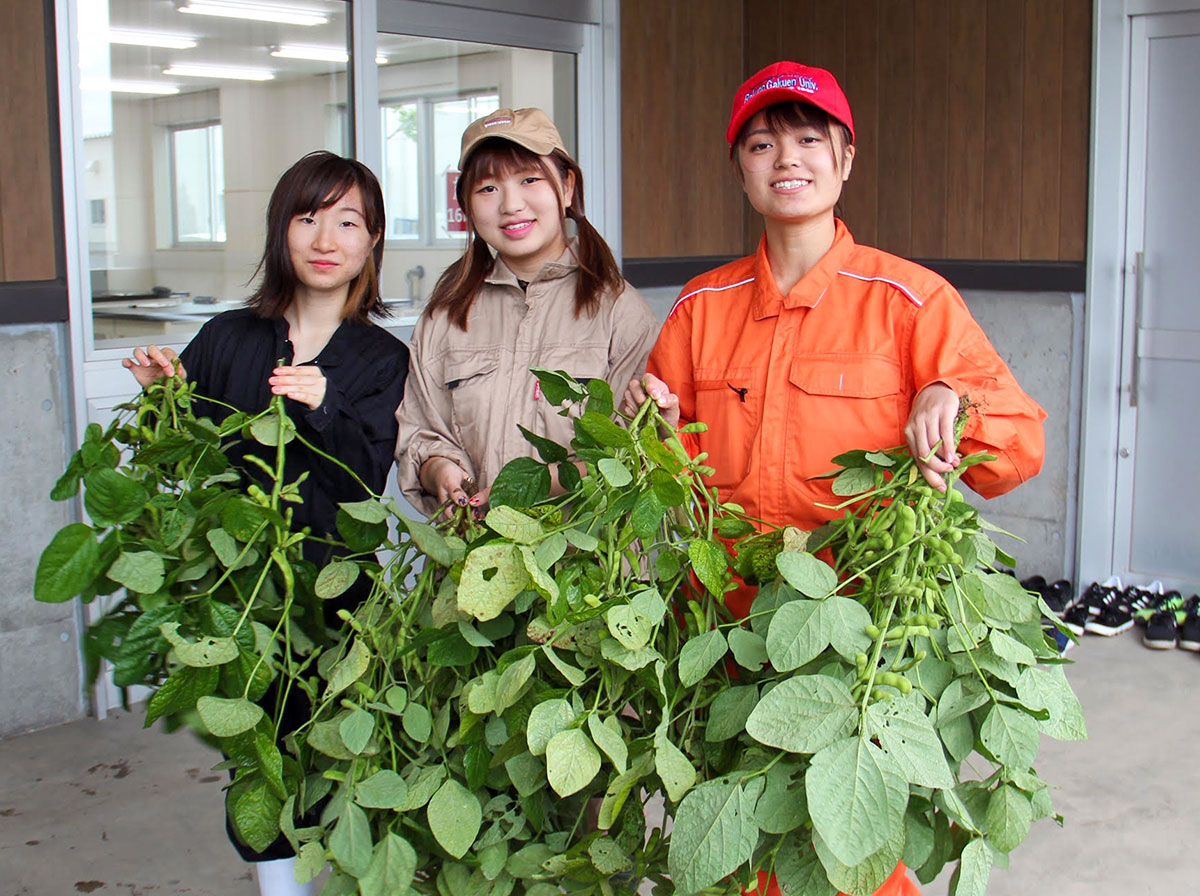 大学 ユニパ 学園 東海