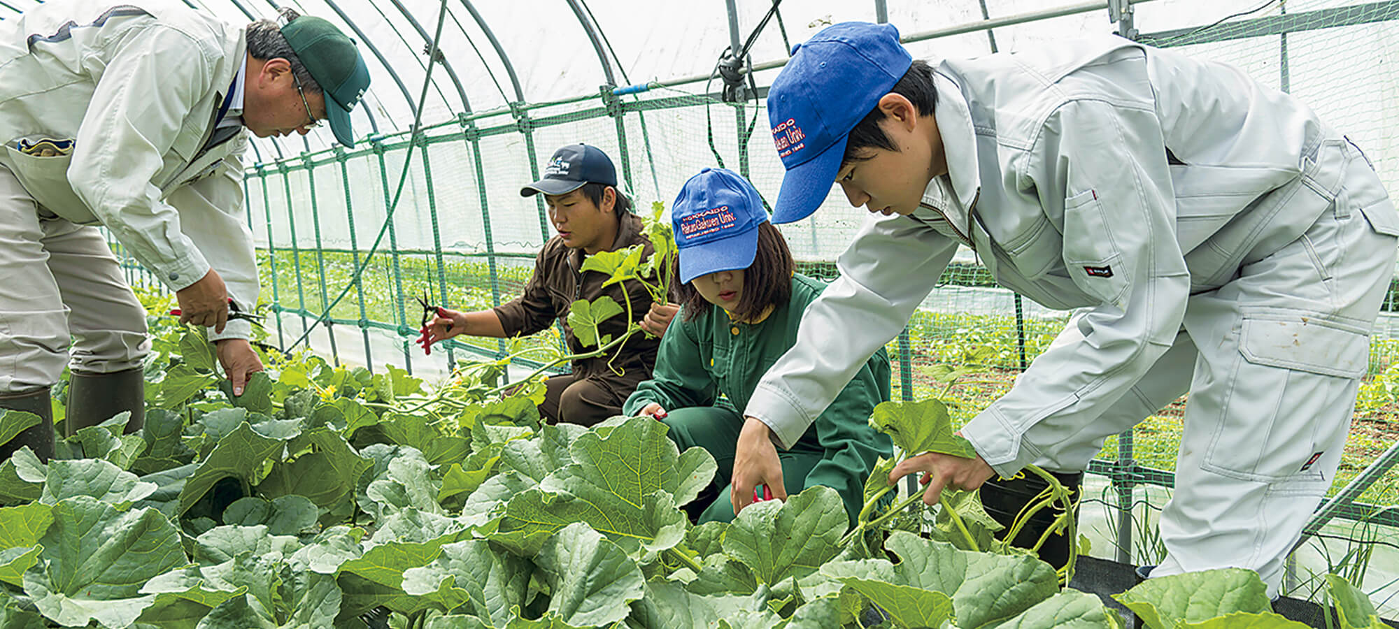 履修・授業関連