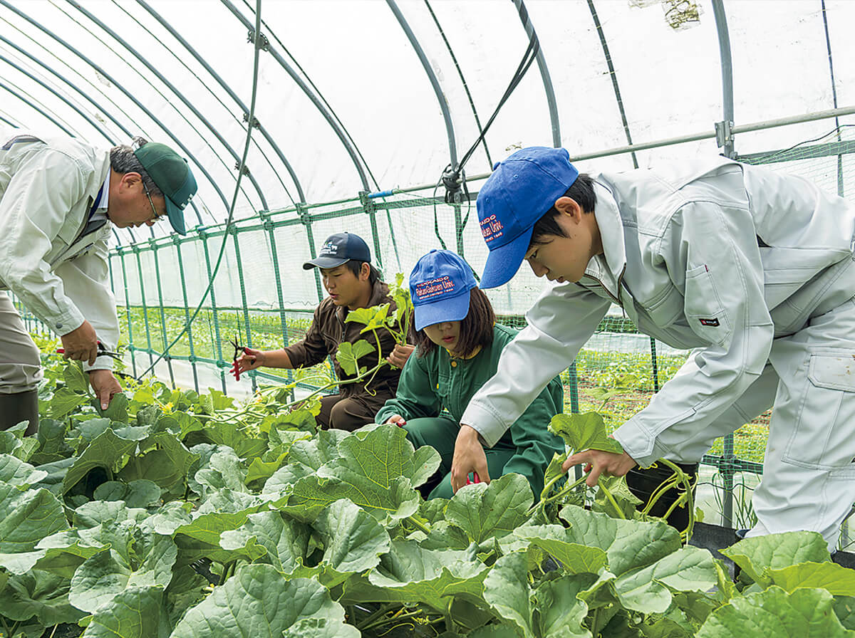 履修ガイド 酪農学園大学 農食環境学群 獣医学群