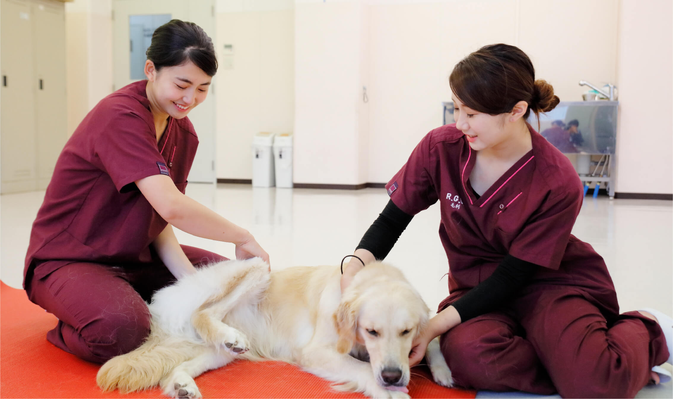 獣医学群 獣医保健看護学類