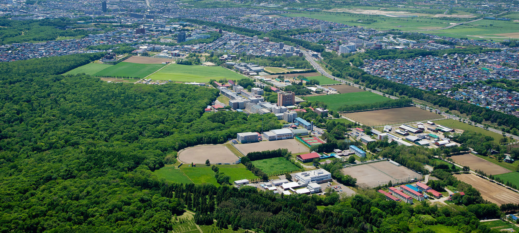 学群・学類・大学院