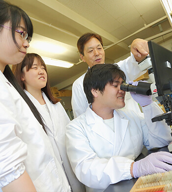 食品機能科学・食品開発学・食品流通学コース