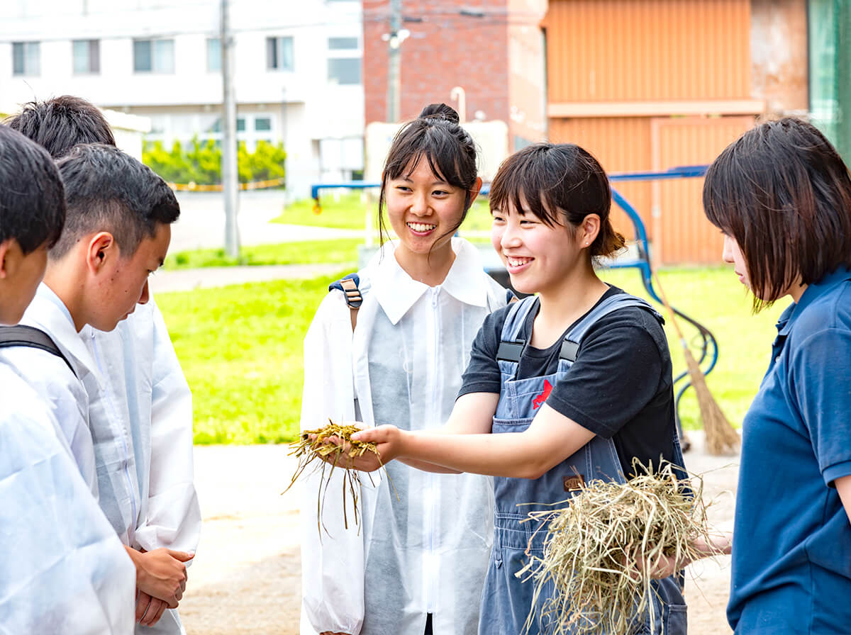 受験生の方へ 酪農学園大学 農食環境学群 獣医学群