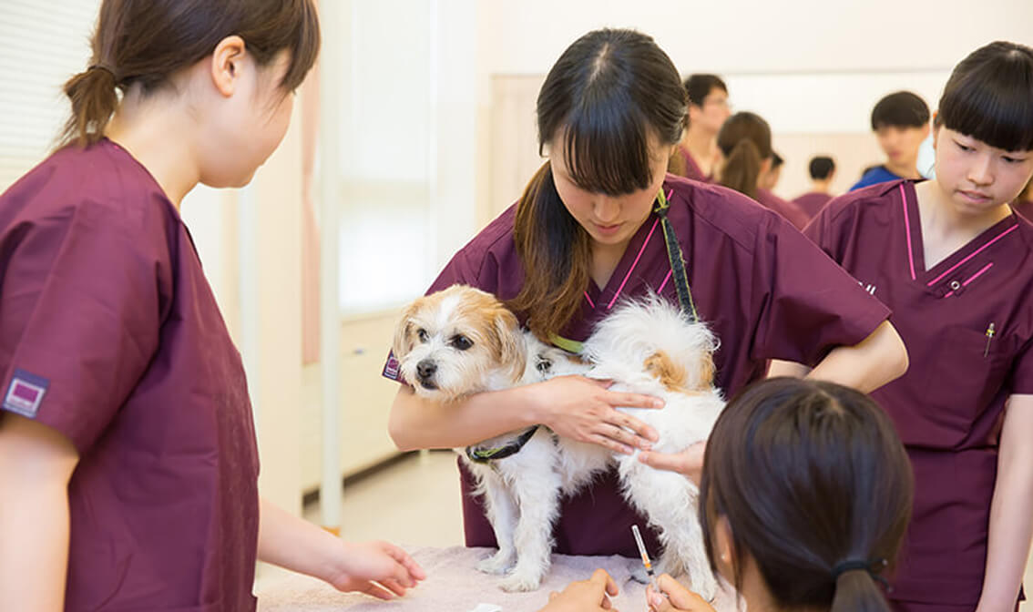 動物看護学