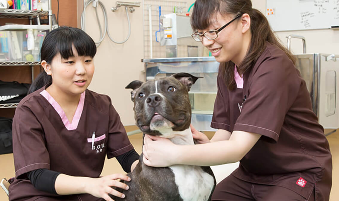 動物看護学