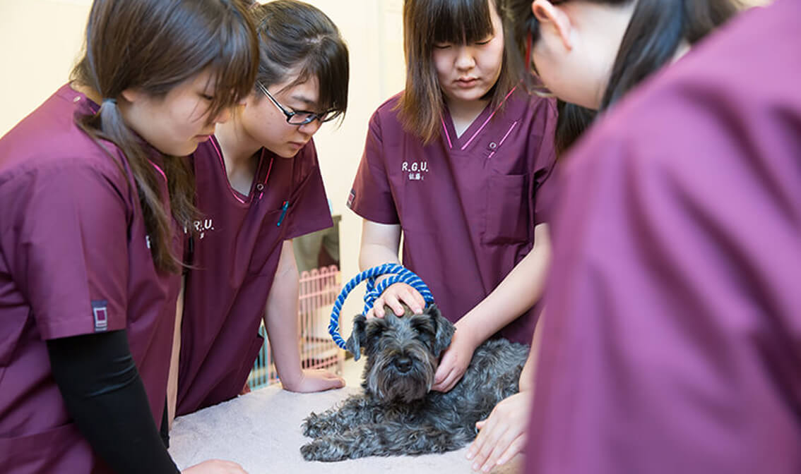 動物看護学