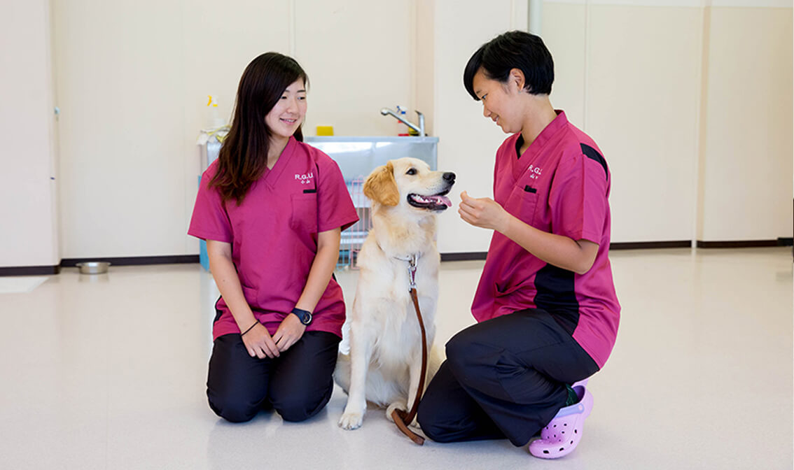 動物看護学