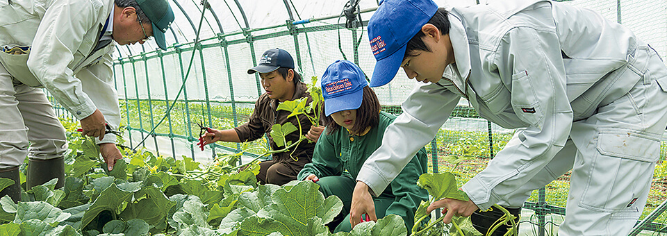 履修・授業関連