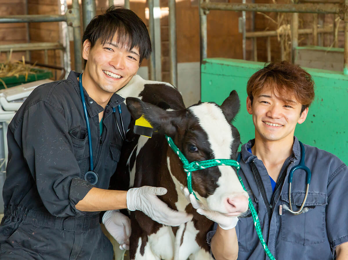 学生生活 酪農学園大学 農食環境学群 獣医学群