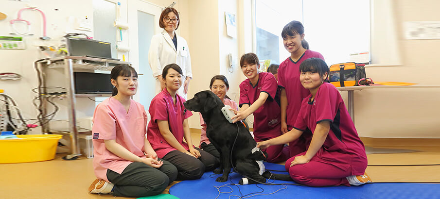 学群 学類 大学院 酪農学園大学 農食環境学群 獣医学群