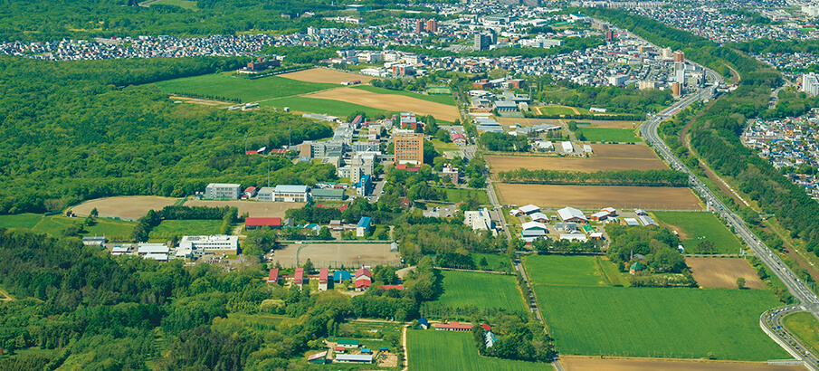 大学院