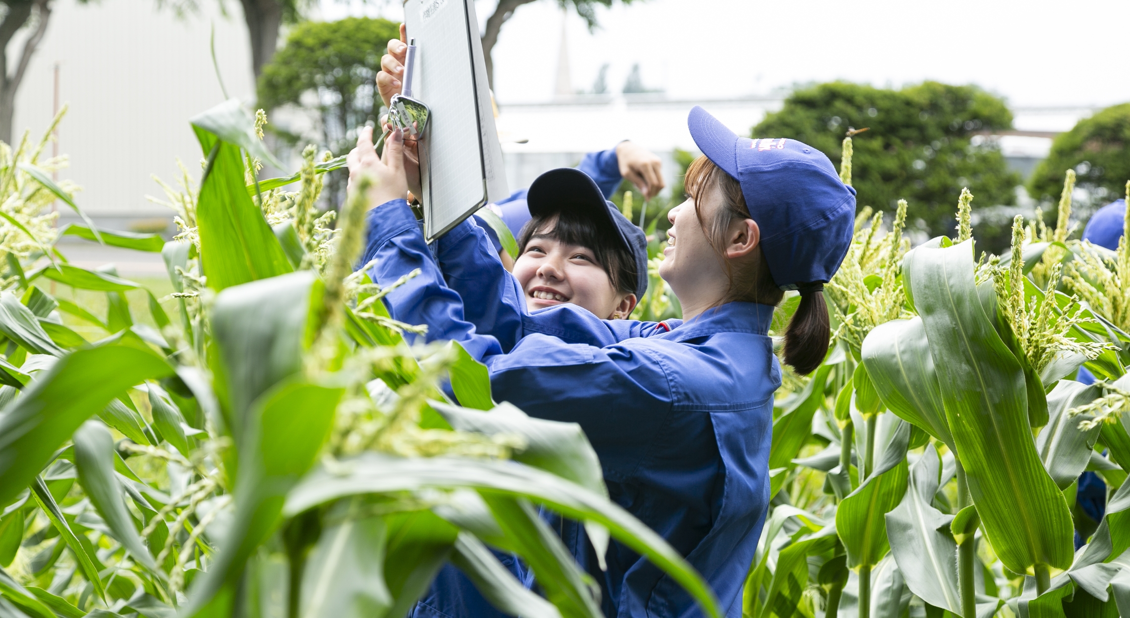 肉畜生産ステーション放牧場