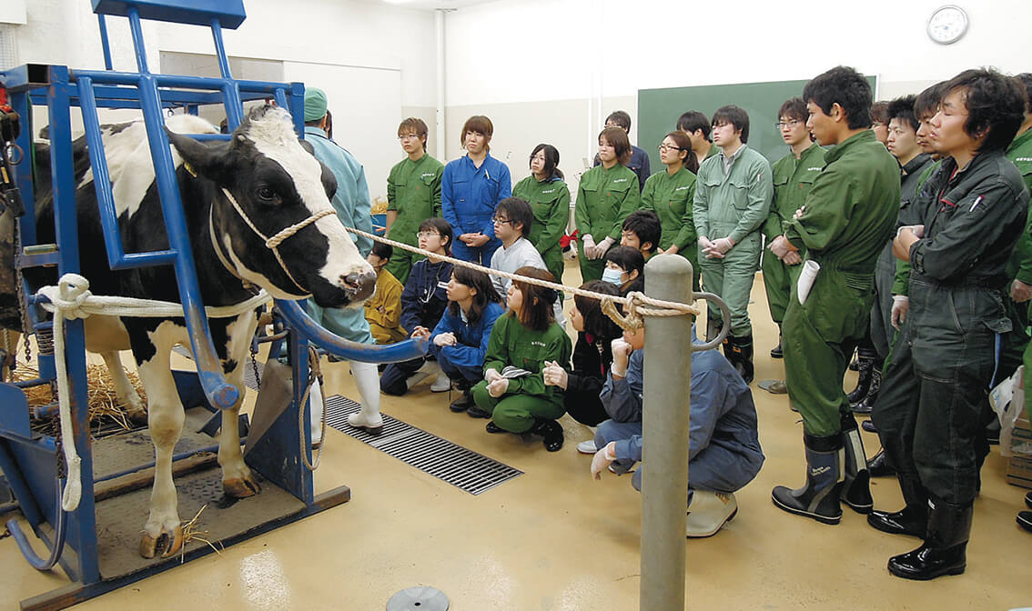 産業動物臨床学