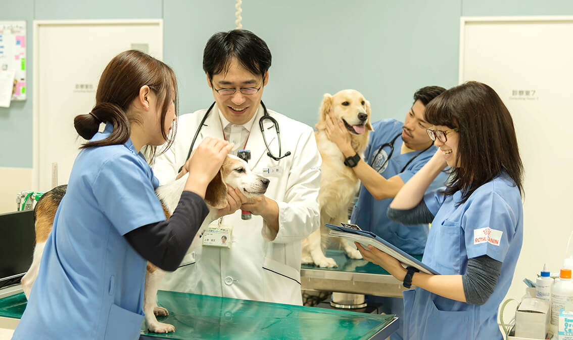 クリニカルローテーション(伴侶動物)